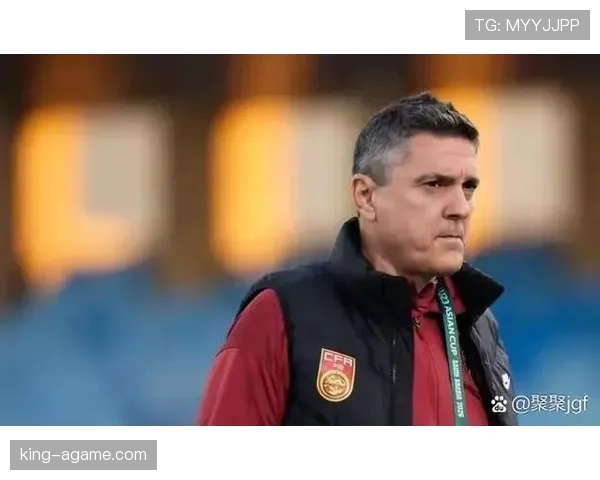 裁判视角下的护腿板要求：材质、覆盖和危险物限制